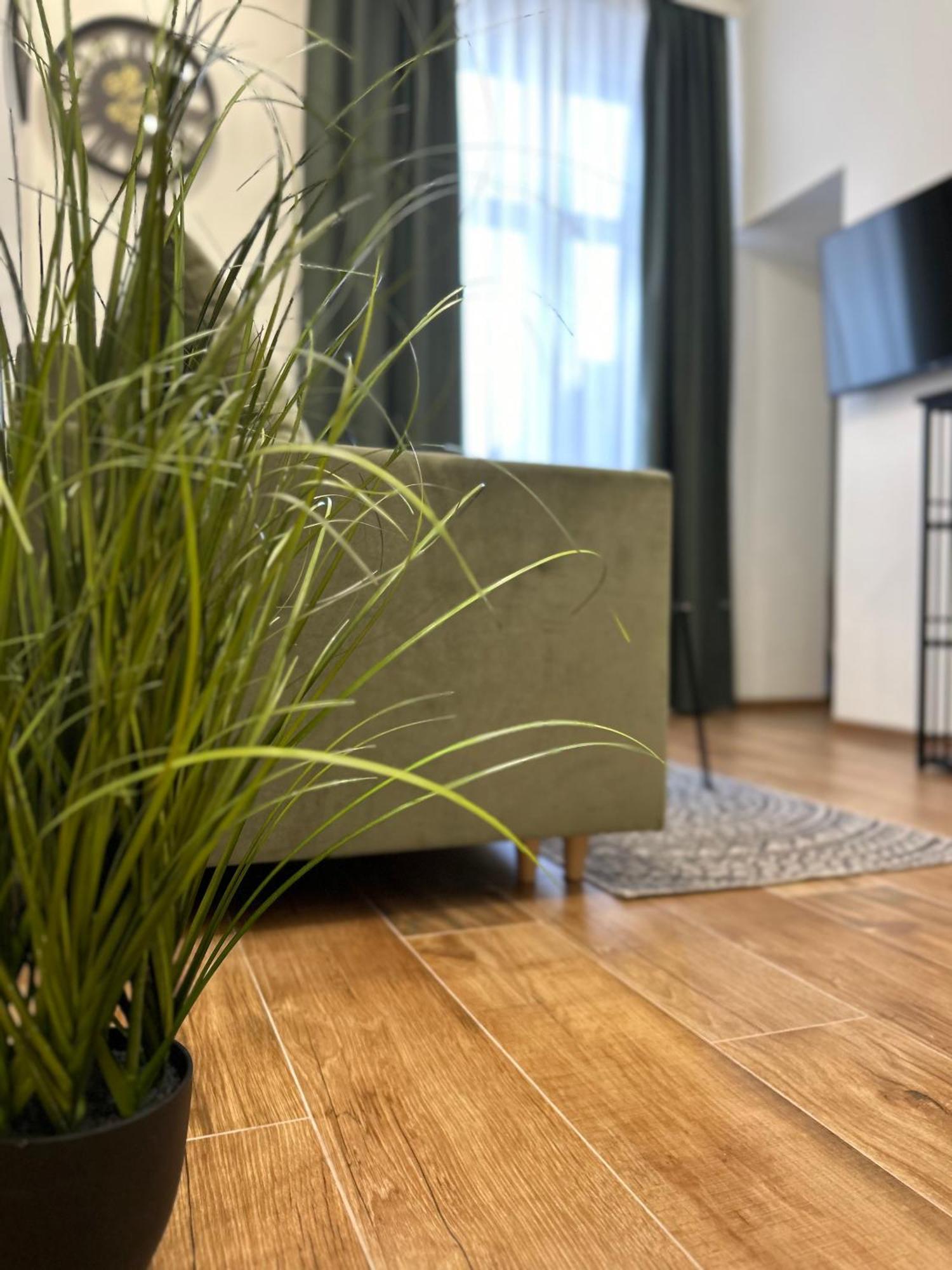 Apartament Krasinskiego Przemysl Bagian luar foto